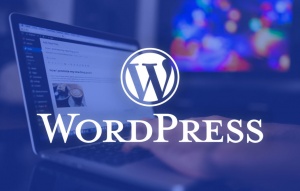 Razones para usar WordPress como tu CMS